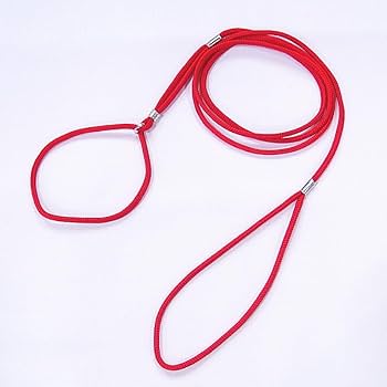 いぬい Amazon | SkipDog! プチインリード (レッド) チワワ 小型犬 向け